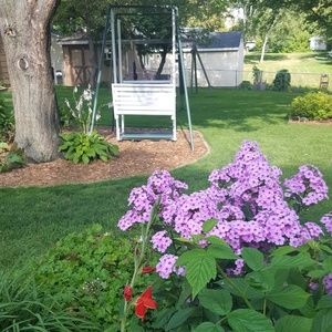 Meet your Posher, Sandy